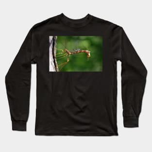 The Alien Has Landed Long Sleeve T-Shirt